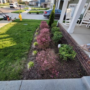 Bush Trimming by Total Landscaping reviewed on August 16, 2025