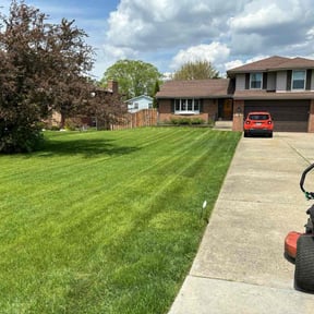 lawn maintenance by Lawn Surgeon reviewed on May 24, 2025