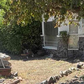 Bush Trimming by MR Lawns LLC reviewed on August 3, 2023