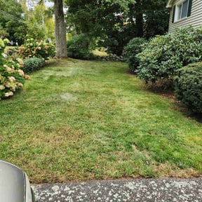 lawn care services by Enrique's Outdoor Maintenance reviewed on May 16, 2024