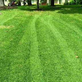 yard work by Jays lawn reviewed on August 18, 2025