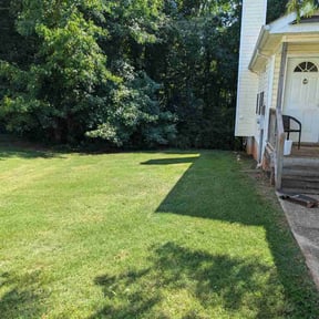 grass maintenance by Grass Buddy reviewed on August 21, 2025