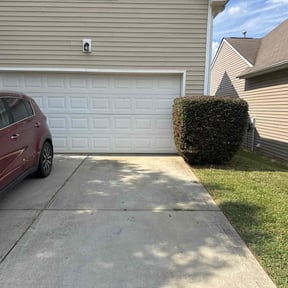 Bush Trimming by SEFA LLC reviewed on October 21, 2025