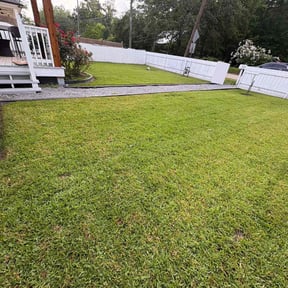 yard care by Goat Mode Lawncare Services LLC reviewed on August 16, 2025