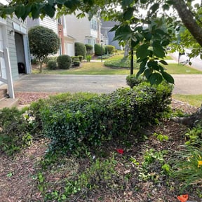 Bush Trimming by Send-A-Fella LawnCare reviewed on August 21, 2025