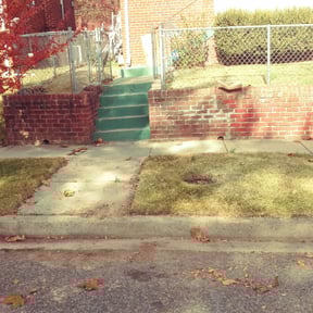 Leaf Removal by In Grass We Trust Lawn Care reviewed on September 16, 2025