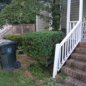 Bush Trimming by Gods Property Lawn & landscaping reviewed on August 16, 2025