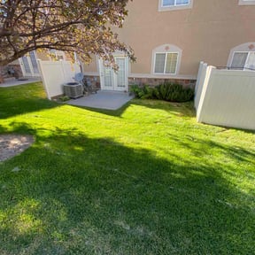 yard service by Tiny lawn care reviewed on August 15, 2025