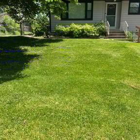 landscaping by J&A Affordable Landscape reviewed on August 15, 2025