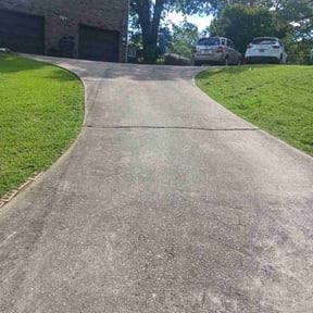 Long Grass Cleanup by Goins landscaping reviewed on August 17, 2025