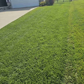 landscaping services by Tim's Discount Lawn reviewed on November 24, 2025