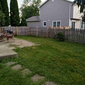 Bush Trimming by Not on my watch 2.0 reviewed on August 18, 2025