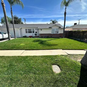 lawn maintenance by Green lawn's reviewed on December 17, 2024