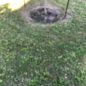 Flower Bed Weeding by Hugheslandscaping reviewed on August 16, 2025