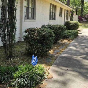 Bush Trimming by Chai Vue reviewed on August 21, 2025