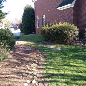 Leaf Removal by ProCutz Landscaping LLC reviewed on May 27, 2025