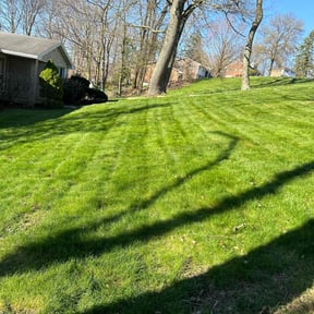 lawn service by At Your Door Chores reviewed on August 8, 2024