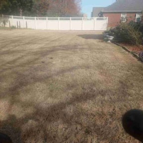 Bush Trimming by Grass Godz reviewed on August 20, 2025