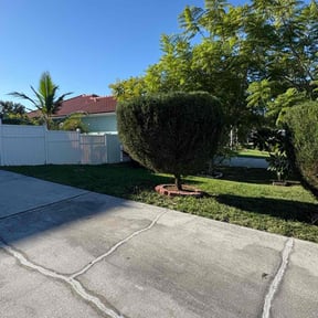 Bush Trimming by Happy Days Lawn Service reviewed on October 18, 2025