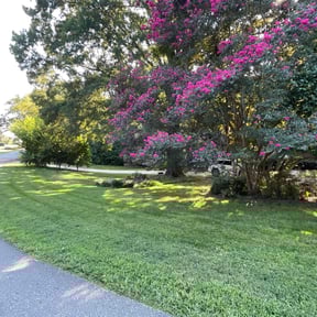 residential landscaping by Green T's Lawn &amp; Landscape reviewed on February 10, 2026