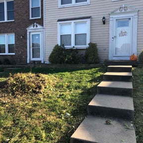 Bush Trimming by Rodriguez Gardening reviewed on November 8, 2025