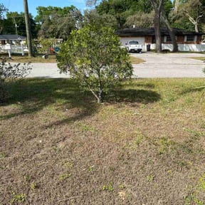 Bush Trimming by Thomas Scott Landscaping reviewed on August 17, 2025