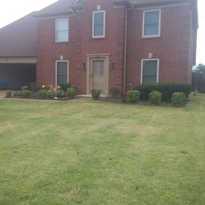 Bush Trimming by Lawngenie reviewed on August 21, 2025