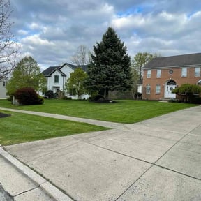 yard maintenance by Abney's lawncare reviewed on August 17, 2025