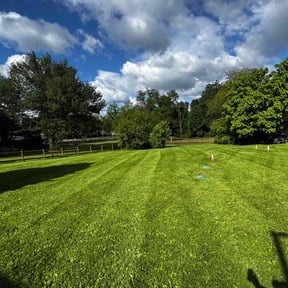 landscape maintenance by EV Great Valley Landscaping,LLC. reviewed on August 15, 2025