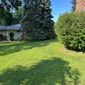 yard maintenance by GTS SERVICES reviewed on August 18, 2025