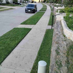 residential landscaping by Razi Lawn Care reviewed on August 18, 2025