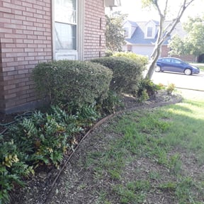 Bush Trimming by LIGHTNING LANDSCAPING & LAND MANAGEMENT reviewed on August 17, 2025