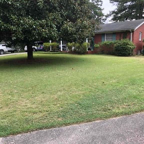 lawn care services by DClandscapeing reviewed on August 21, 2025