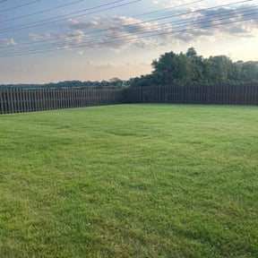landscaping services by Sargent Lawncare reviewed on August 19, 2025