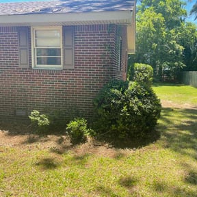 Bush Trimming by Carrate Landscaping LLC reviewed on August 21, 2025