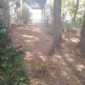 Leaf Removal by Christopher MowPro reviewed on November 8, 2025