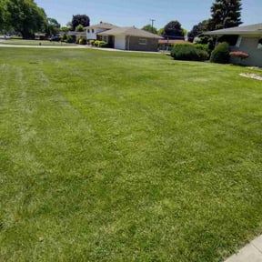 yard work by Burnett Landscaping reviewed on August 16, 2025