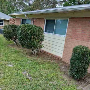 Bush Trimming by Bigdogs Property Maintenance reviewed on March 26, 2026