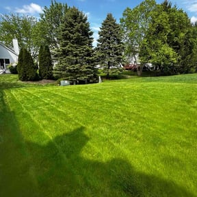 turf maintenance by Clean cut maintence reviewed on August 20, 2025