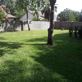 yard work by Kiss My Lawn reviewed on November 18, 2025