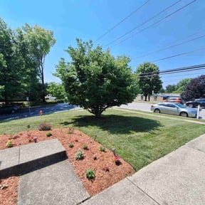 Bush Trimming by J &amp; F Landscaping LLC reviewed on July 19, 2025