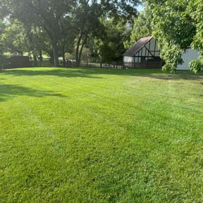 grass cutting by SGE Lawn Care reviewed on September 16, 2024