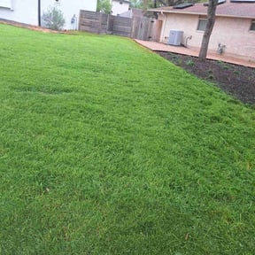 yard service by Lucky Lawn reviewed on August 17, 2025