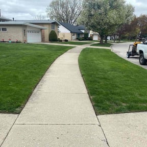 grass cutting by Elegant Lawn Care LLC reviewed on July 7, 2025