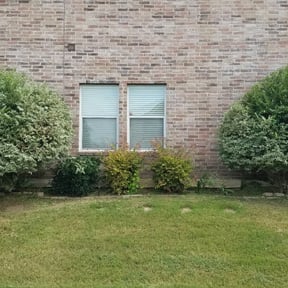 Bush Trimming by Chance Landscaping LLC reviewed on August 16, 2025