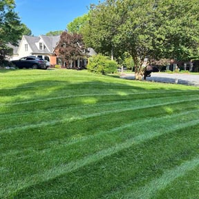 residential landscaping by Sliced Lawn Care LLC reviewed on August 20, 2025