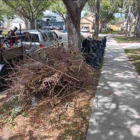Bush Trimming by Alexito Landscaping reviewed on April 9, 2026