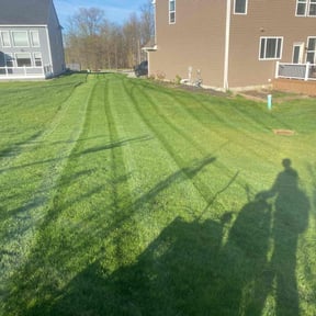 landscaping by Touch Of Teele's Auto Detail LLC reviewed on August 20, 2025