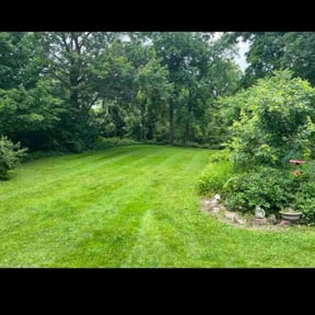 landscaping services by Clear landscapes llc reviewed on August 18, 2025