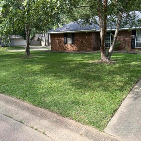 lawn maintenance by Diego's Lawn Care reviewed on June 24, 2025